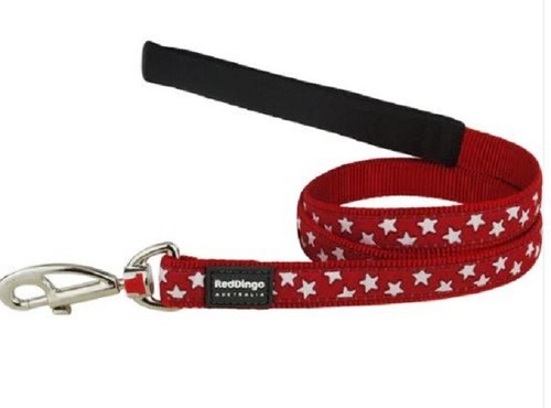 RED DINGO STAR COLLAR & LEADS - Picture 7 of 26