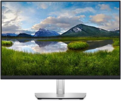Dell Computer Monitor P2423 24 Zoll (1920x1200) 16:10