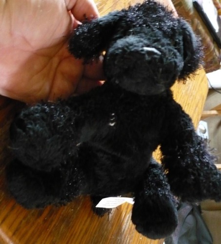 WEBKINZ Lil' Kinz Black Poodle; Dog Puppy GANZ; Only Plush /No Code; HS191 - Picture 2 of 12