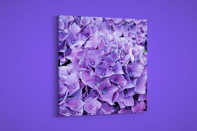 Artographie - Purple Hydrangea - Art Print on Paper or Canvas