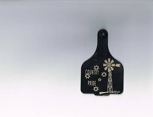 Country Pride ear tag bns ute - Picture 1 of 1