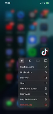 iphone 12 pro max unlocked Used With TikTok