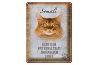 Blechschild Spruch 30X40 Cm Somali Katze Geschenk Wanddeko Deko Schild