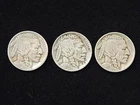 1925, 1925-D & 1925-S Buffalo Nickels NICE!