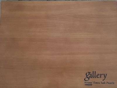 Mungyo Gallery Artist's Extra Fine Soft Pastels Holzbox 200 Farben MPA-200W