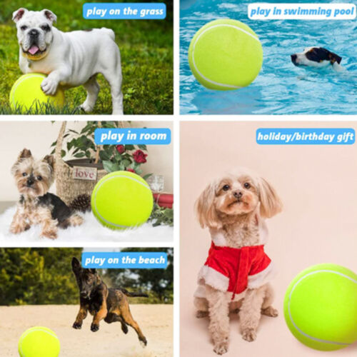 ​24CM Inflatable Tennis Toy For Dog Pet  Interactive Toy Inflatable Tennis Ball - Photo 1/7