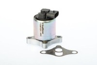 BorgWarner (Wahler) 710961D Agr-Ventil FüR Opel