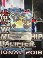 Belle - Strange but Special (Enchanted) - The First Chapter (1)