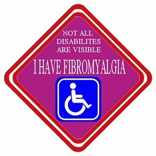 Not All Disabilites Are Visible I Have Fibromyalgia Car Window Sign
