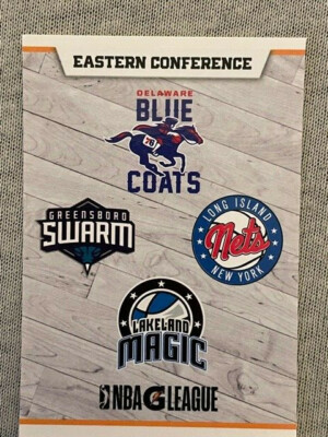 Panini NBA Basketball Sticker 2018/19 G League Eastern Conference Puzzle 2