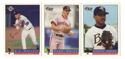 1994 FLEER EXCEL MINORS - MONTREAL EXPOS Team Set