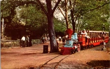 Postcard Zoo Line Railroad Miniature Train Forest Park in St. Louis, Missouri