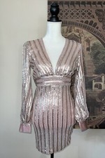 Blush Sequin Long sleeves Bodycon Dress