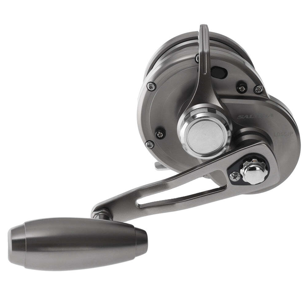 Daiwa Saltiga 1SPD Lever Drag 6CRBB 55JP | eBay