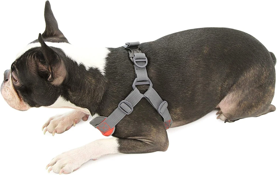 GOOBY Dog Trekking Harness Orange Choke Free Walking XL  21 - 25.75" Chest - Image 3 of 4