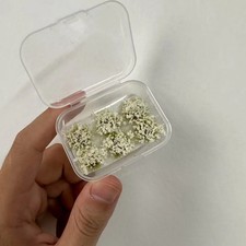 Mini Blumencluster Modell Set DIY Kunstpflanzen f&uuml;r Mikrolandschaft Dekoration