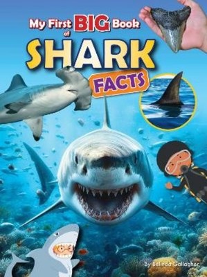 Belinda Gallagher My First BIG book of SHARK Facts (Taschenbuch)