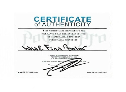 WWE NJPW FINN BALOR SIGNED AUTOGRAPHED JAPAN PROGRAM MAGAZINE WITH PROOF COA 4 - Picture 4 of 4