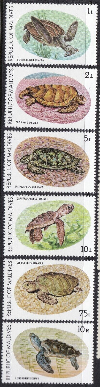 Maldive Islands 1980 Sc-841-46 Turtle Conservation OG S US Reservation Deluxe MNH -