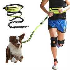Hands Free Dog Leash Bungee Shock Absorbing B...