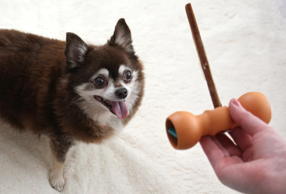 New Bow Wow Buddy Starter Kit - Bully Sticks & Anti-Choking Bully Stick Holde... - Image 4 of 4