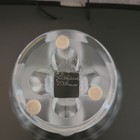 Lalique Crystal Nogent Sparrow Birds Pedestal Compote Dish Bowl — photo 5