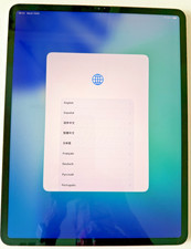 Apple iPad Pro 12.9  6th Gen 256GB Wi-Fi Space Gray w/ Original Box