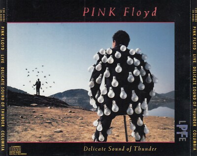 Pink Floyd - Delicate Sound of Thunder (CD, Nov-1988, 2 Discs) EARLY DADC PRESS