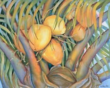 Ceramic Backsplash Tile Mural Floral Kitchen/Bathroom - Coconuts II - Linda Lord