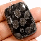 Black Fossil Coral Radiant Cabochon Drilled Gemstone 48 Ct. 31X23X7 mm A-36725