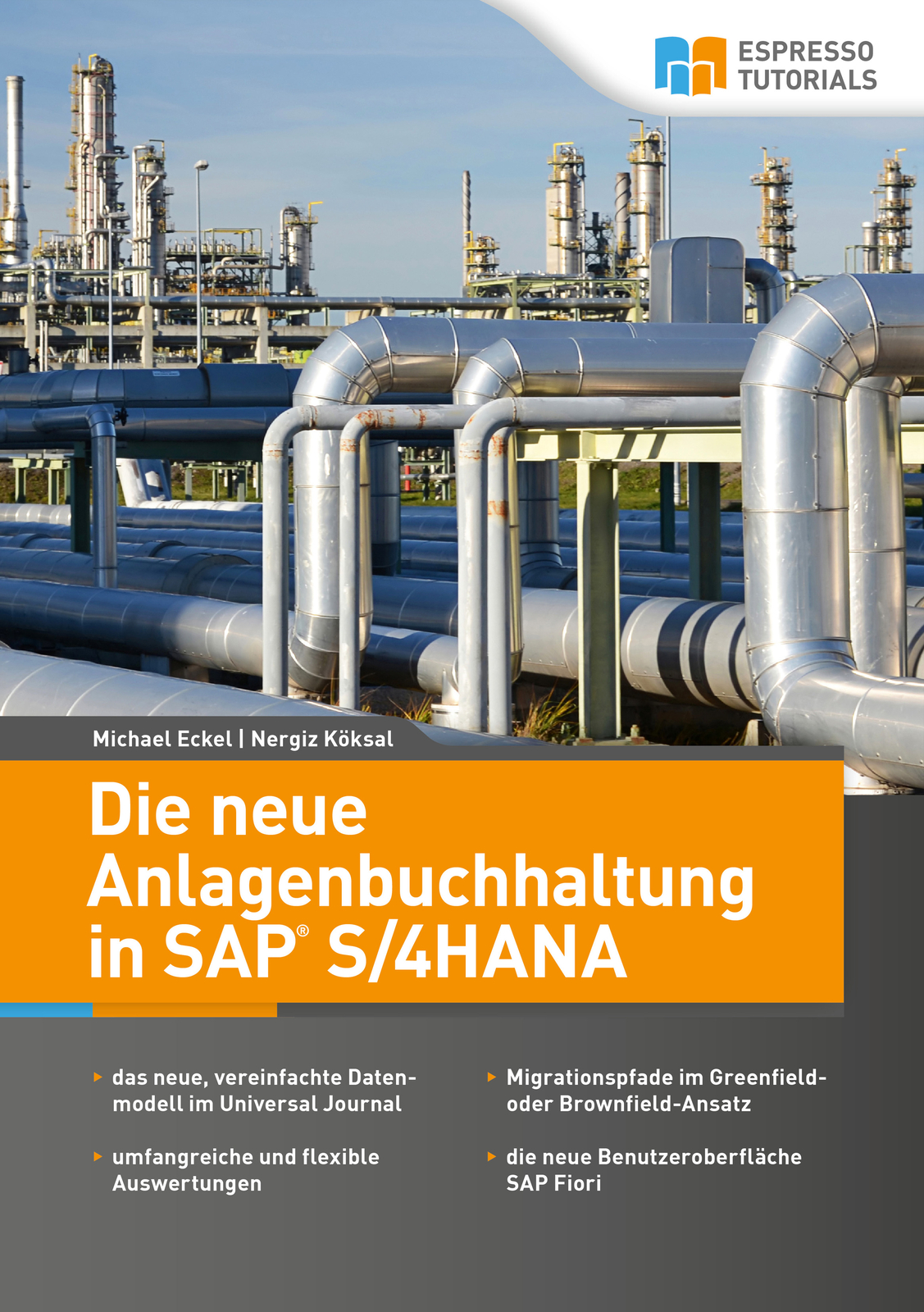 Thumbnail - Michael Eckel; Nergiz Köksal / Die Neue Anlagenbuchhaltung In Sap