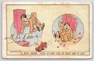 Comics~Falling Man~Be Down Soon~Woodland~Bird Never Flew So High~1907 Postcard