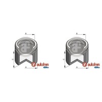 2X Autofren 42Mm Kolben Bremssattel Hinten Vorne Passend FüR BMW X5 X6 Mercedes