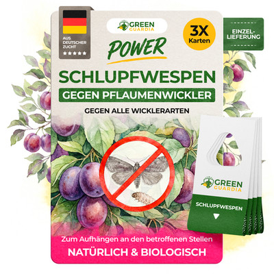 3 - 15 Karten Green Guardia Schlupfwespen gegen Pflaumenwickler   1x Lieferung