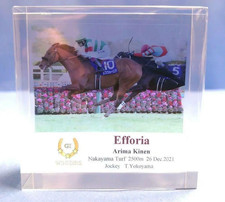 Rennpferd Efforia Acryl Ornament 2021 Arima K...