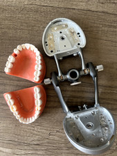 Acadental ModuPRO Restoration Typodont  Case WREB CDCA ADEX