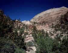 Cliffside,Zion National Park,Utah,UT,Landscape,Nature,Carol Highsmith,1980-2006