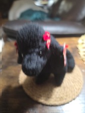 TY Beanie Baby - GIGI the Poodle Dog 6 inch - MWMT's Stuffed Animal