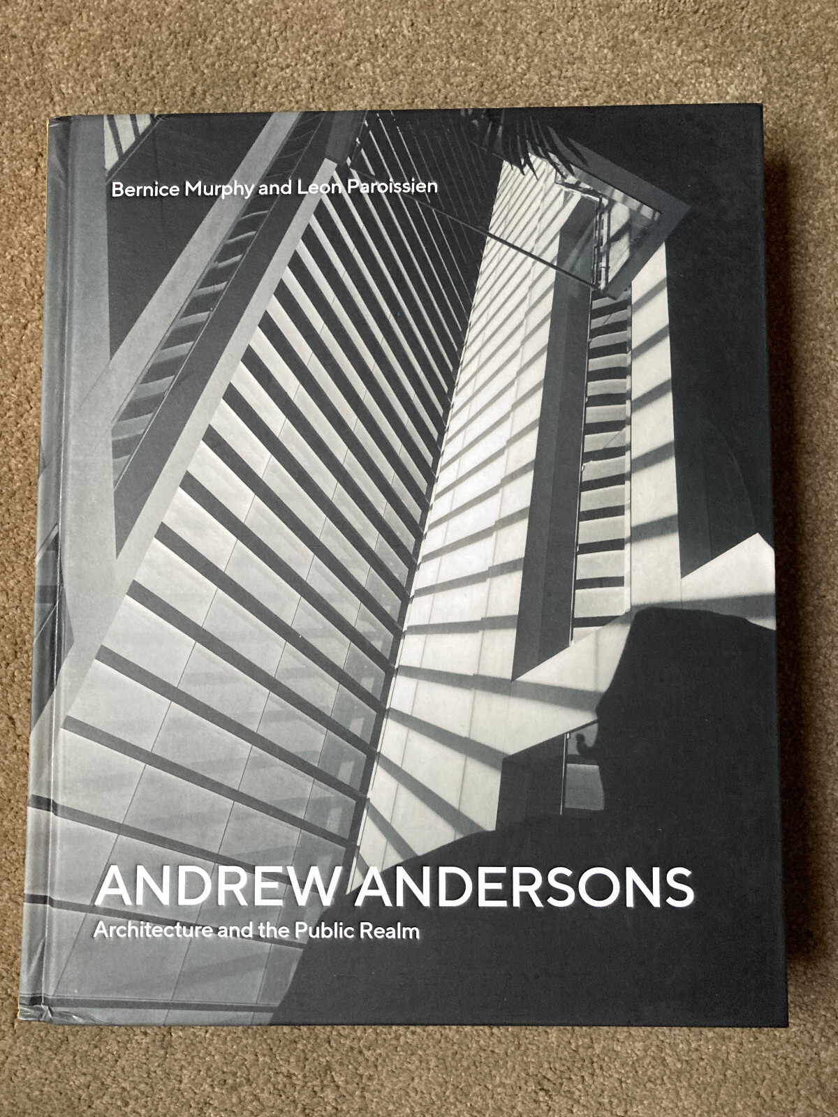 Andrew Andersons: Architecture and the Public Realm by Bernice Murphy