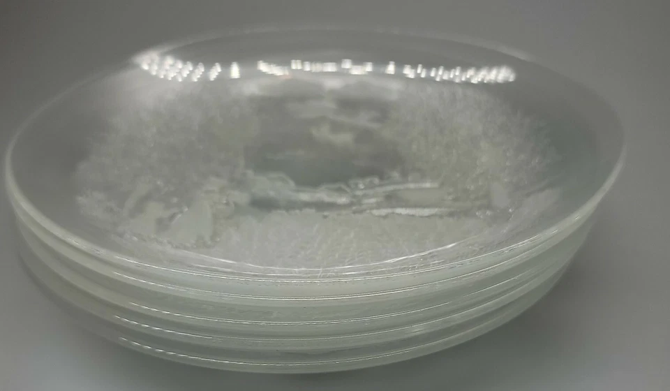 Juego de 5 platos de vidrio holandeses para niñas pequeñas del campo 7,5" usados en excelente estado Foto 3 de 3