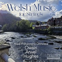 Royal Philharmonic O - Welsh Music For Strings - Cd Album - G3Z