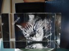 Bild 4 von 4