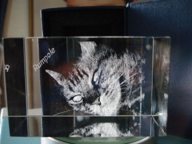 Picture 4 of 4