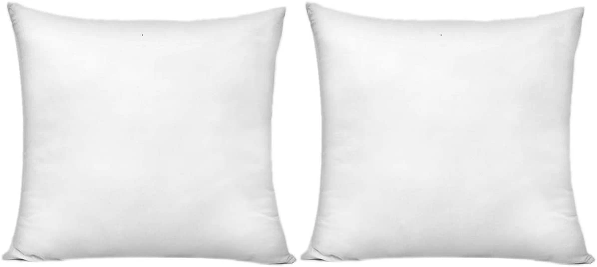 20x20?Pillow?Insert Edow Down?Throw?Pillow Form?Inserts Sizes Set