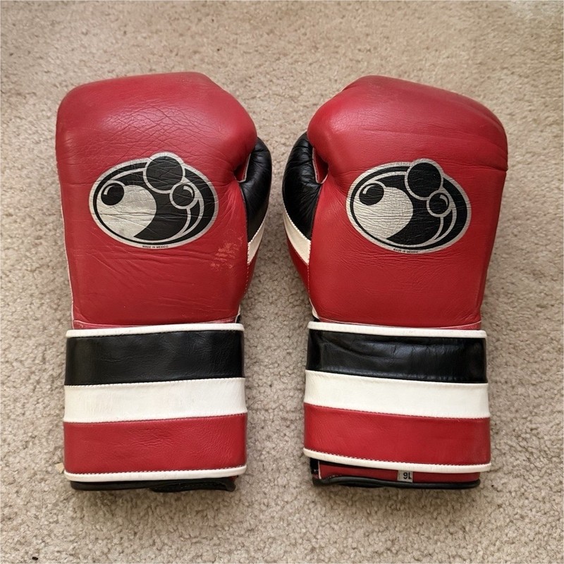 Grant 16oz Hook and Loop Boxing Gloves