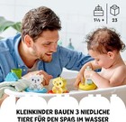 Bild 11 von 12