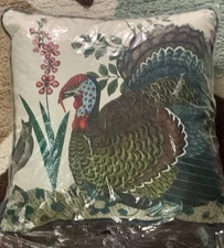Target x John Derian Pillow  18’’