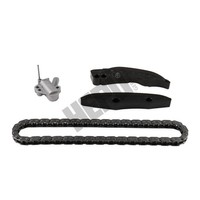 Hepu 21-0196 Steuerkettensatz