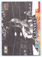 2023 Upper Deck AEW #C28 Lee Moriarty UD Canvas Black