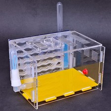 With Feeding Area Ant Farm Ants Nest Insect Pet Acryl Ant House Educational Gift